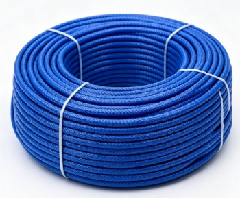 CAT6